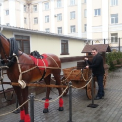 Дмитрий Юрич, Санкт-Петербург