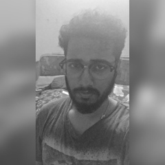 Sapnomoy Chattopadhyay, 28 лет, Bhubaneswar