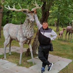 Борис Колегаев, 57 лет, Новосибирск