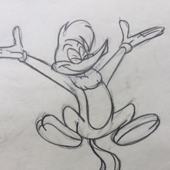 Woody Woodpecker, 36 лет, Wellington