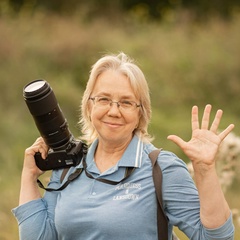 Елена Гасенко, 57 лет, Омск