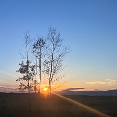 Анастасия Шавандрина, Хабаровск