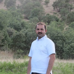 Ebrahim Edres, 26 лет, Erbil