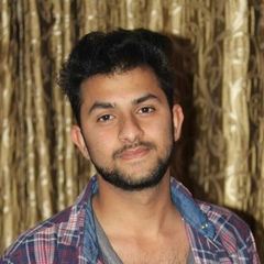 Pankaj Dhiman, 27 лет, Chandigarh