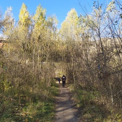 Андрей Родионов, Курск