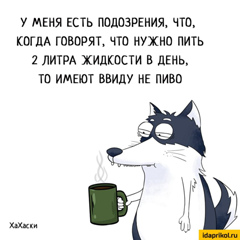 Иван Абрамов, 36 лет, Санкт-Петербург