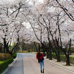 Ruzya Auezmuratova, 29 лет, Seoul