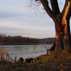 Олег Педоренко, Винница