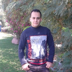 Ahmed Elsayed, 34 года, Sharm el-Sheikh