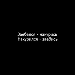 Арсений Кроитор, 23 года, Новосибирск