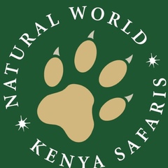 Natural-World Kenya-Safaris-Russia, 24 года, Nairobi