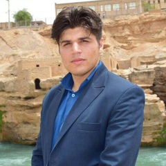 Саид Зейди, 28 лет, Kermanshah