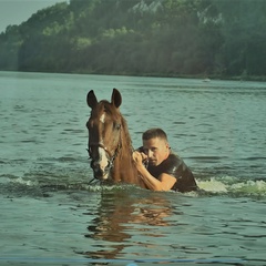 Александр Щербаков