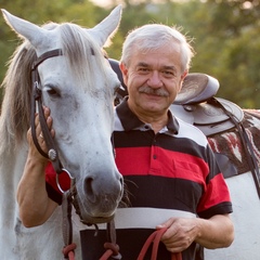 László Pataki, 71 год, Budapest