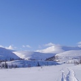 Лариса Сребродольская, Мурманск