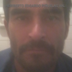 Heriberto-Edgardo Piñuelas-Valenzuela, 49 лет, Hermosillo