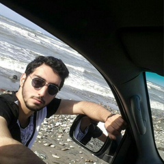 Alireza Zahmatkesh, 32 года, Tehran