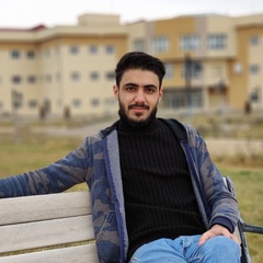 Dlovan Shwan, 22 года, Erbil