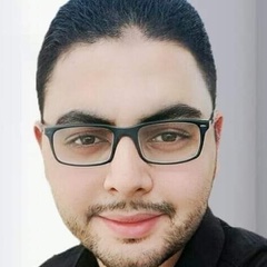 Omar Samir, 26 лет, Cairo