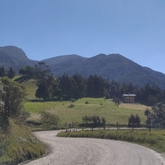 Camilo Sierra, 31 год, Bogotá