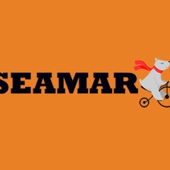 Seamar-Agency Công-Ty-Search-Marketing-Đà-Nng, 29 лет