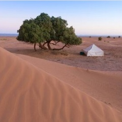 Rami Romel, El Oued