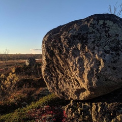 Аня Аня, Мурманск