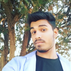 Atul Kashyap, 26 лет, Dehradun