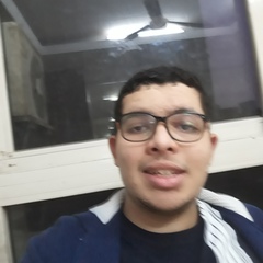 Civil-Eng Amr Badawy, 24 года, Giza