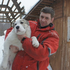 Алексей Сметанин, 42 года, Киров