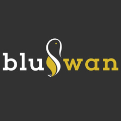 Blu Swan, 42 года, Mumbai