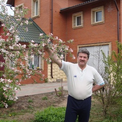 Александр Севостьянов, 66 лет, Великий Новгород