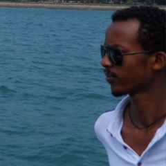 Yasha Ethio, 36 лет, Addis Ababa