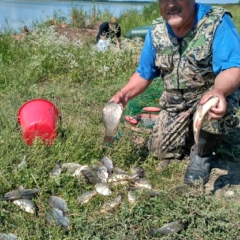 Сергей Балло, 74 года, Петропавловск