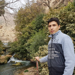 Milad Mohammadi, 27 лет, Kermanshah