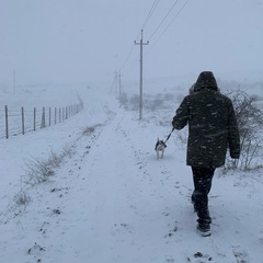 Денис Швыдкой, 43 года, Севастополь