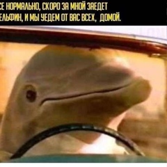 Никита Dolphin, Дзержинский