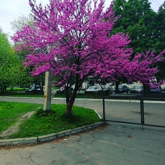 Анастасия Малышева, Днепр (Днепропетровск)