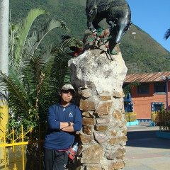 Fernando Rivera, Puno