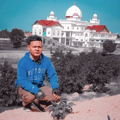 Muhammad Zulhelmi, 29 лет, Banda Aceh