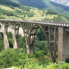 Роман Смирнов, Санкт-Петербург