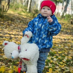 Василий Матвеев, Печора