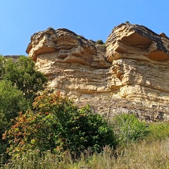 Лесная Нимфа, Кисловодск