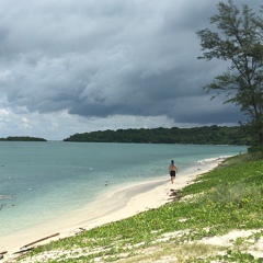 Игорь Зверев, Ko Samui