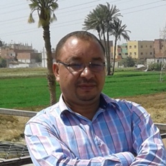 Ahmed Mahfouz-Othman, 47 лет, Beni Suef