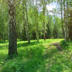 Влад Еремеев, Екатеринбург