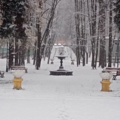 Елизавета Сотникова, Москва