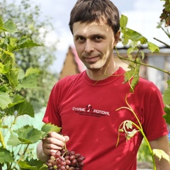 Евгений Федосов, Новосибирск