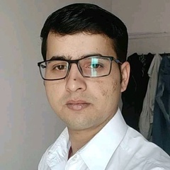 Neelesh Mishra, 33 года, Bhopal