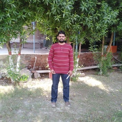 Atif Ashfaq, 35 лет, Faisalabad